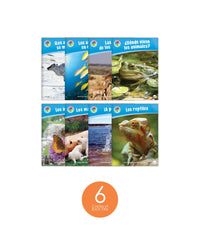 Animales por todos lados Set (6-Packs)
