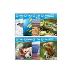 Animales por todos lados Set