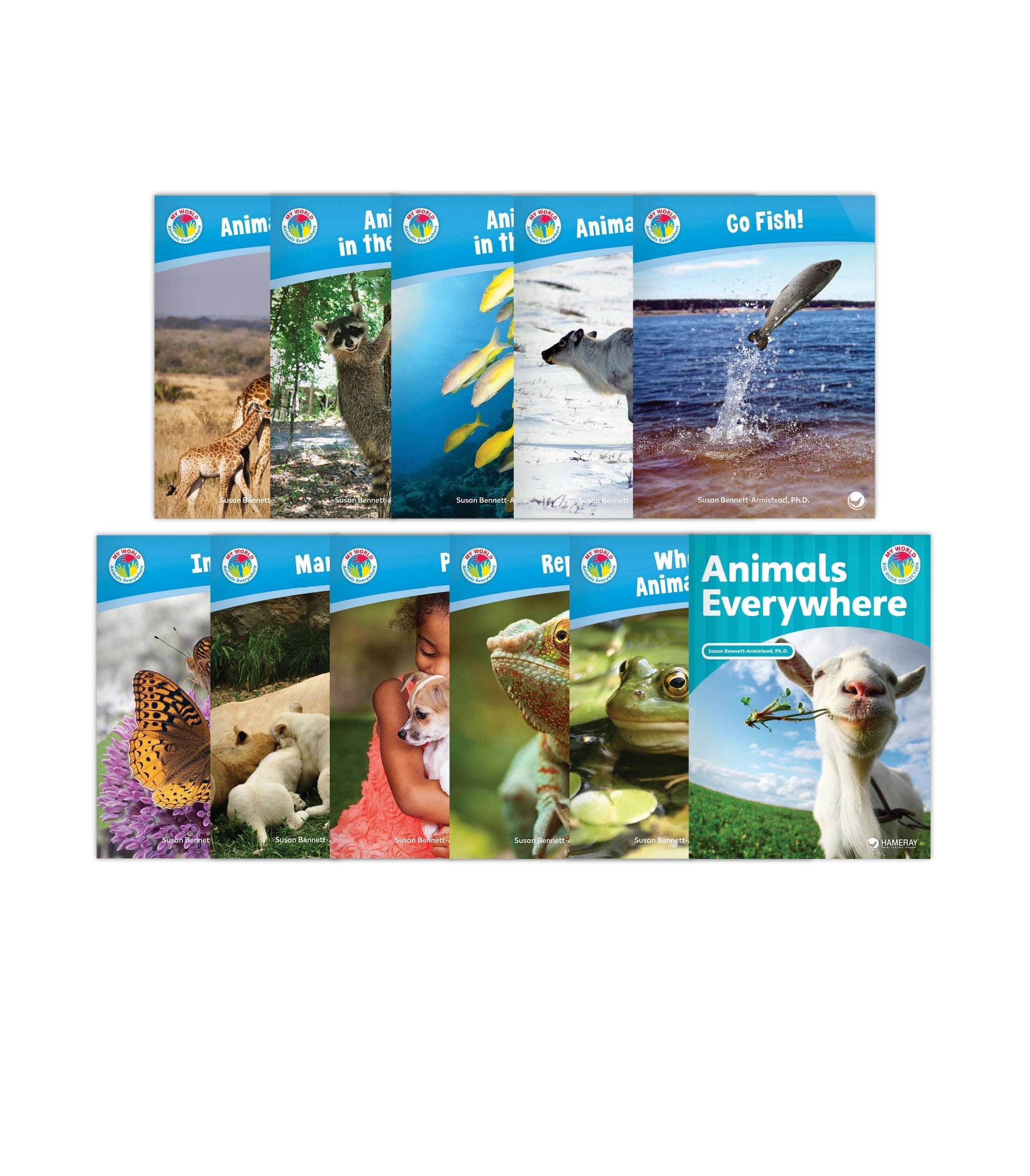 Animals Everywhere Theme Set with Big Book