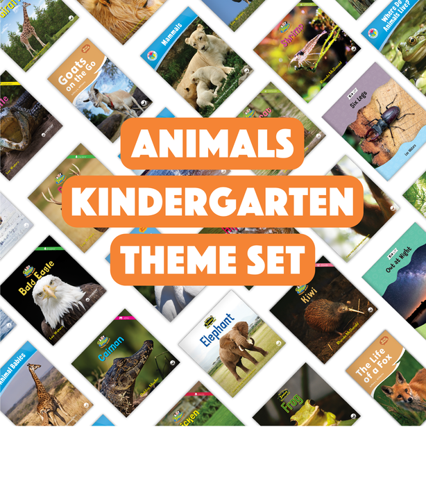 Animals Kindergarten Theme Set