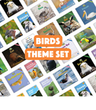 Birds Theme Set