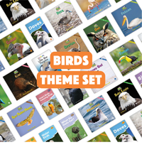 Birds Theme Set