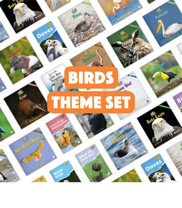 Birds Theme Set