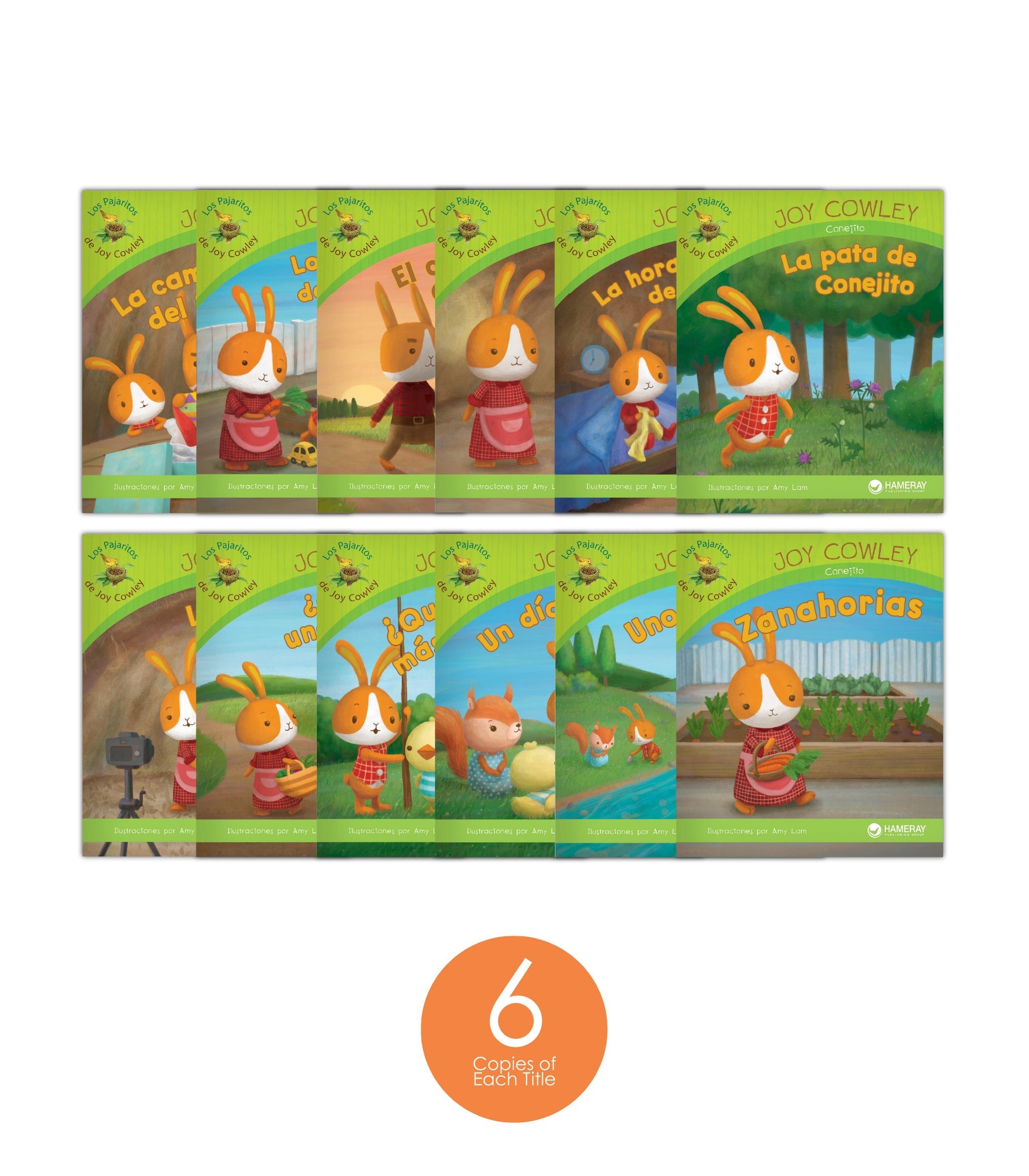 Conejito Set (6-Packs)