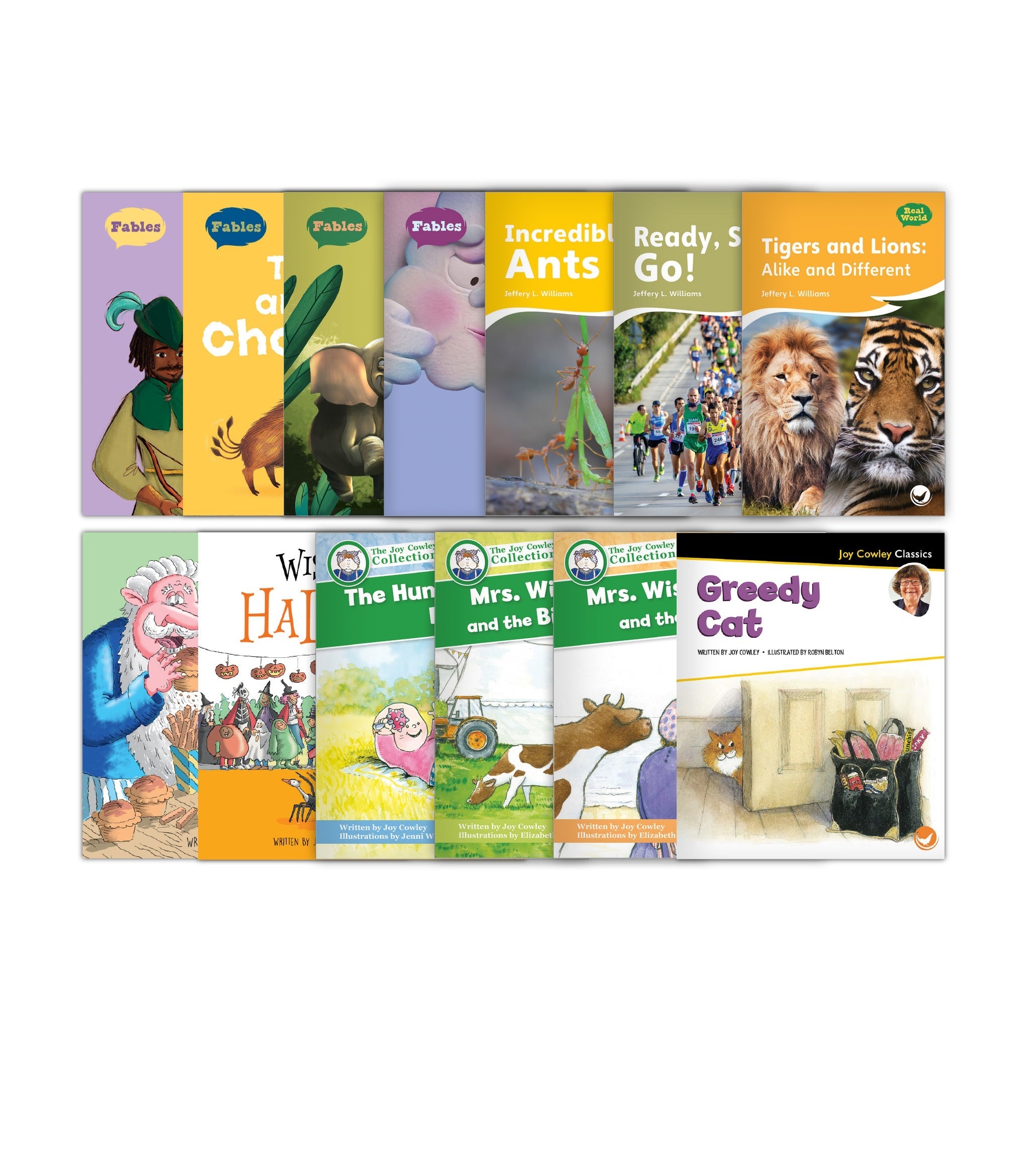 Ha Ray Books Hameray Big Book Collection - Hameray Publishing