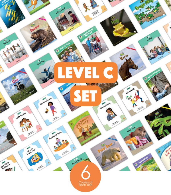 Level C Set (6-Packs)