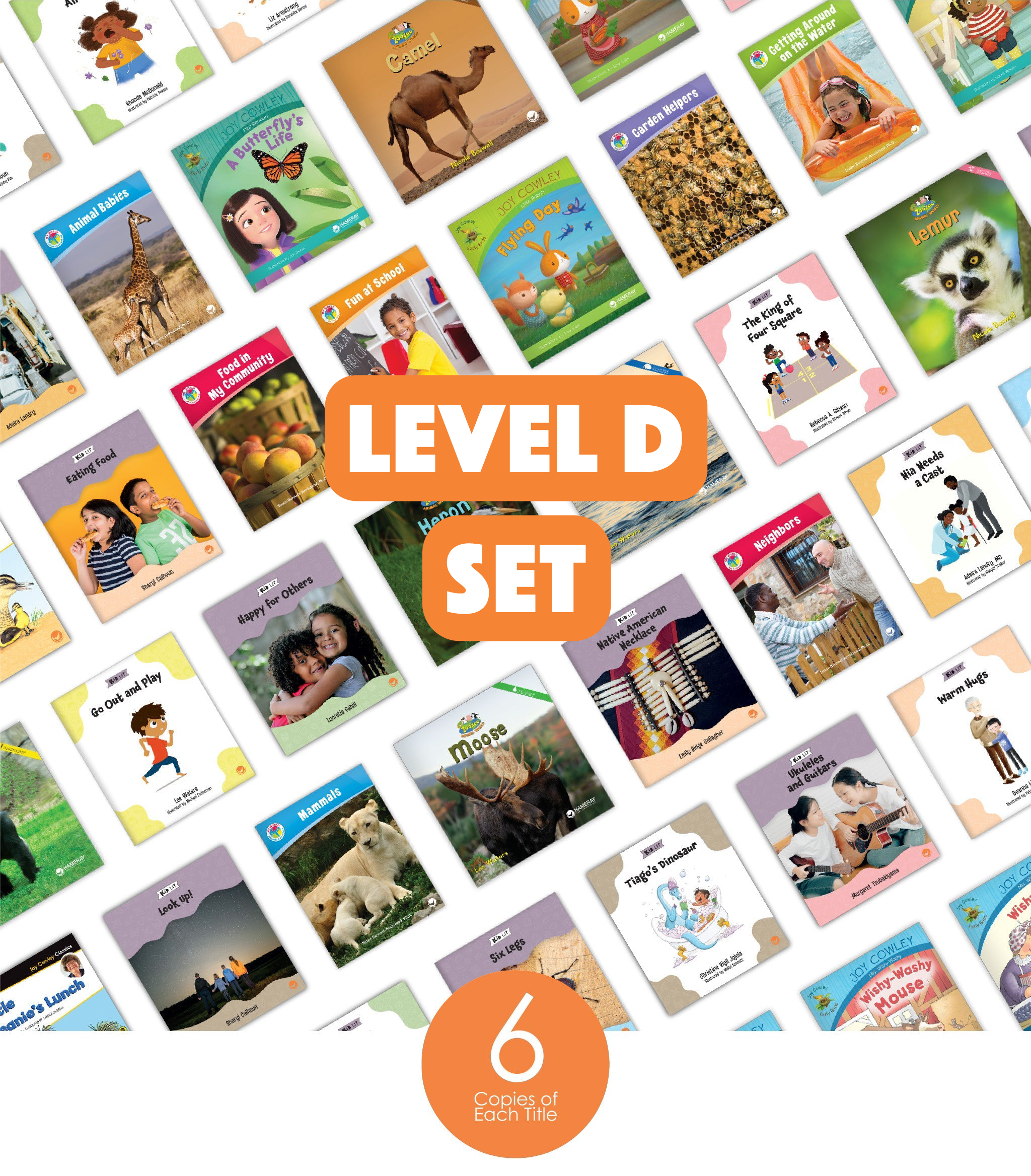 Level D Set (6-Packs)