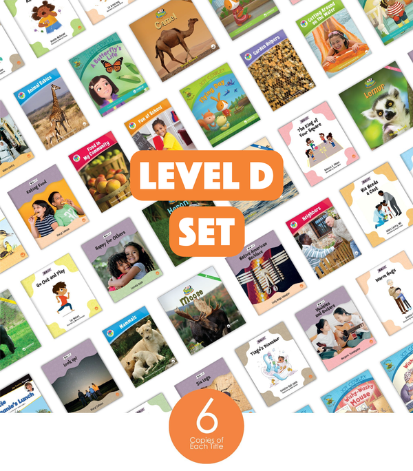 Level D Set (6-Packs)