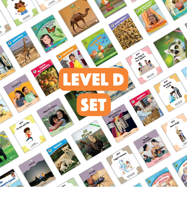 Level D Set