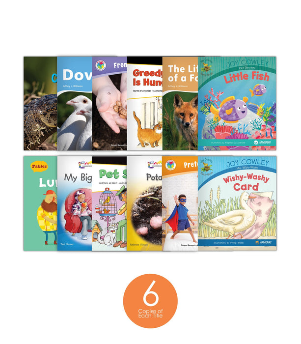 Level E Set (6-Packs)