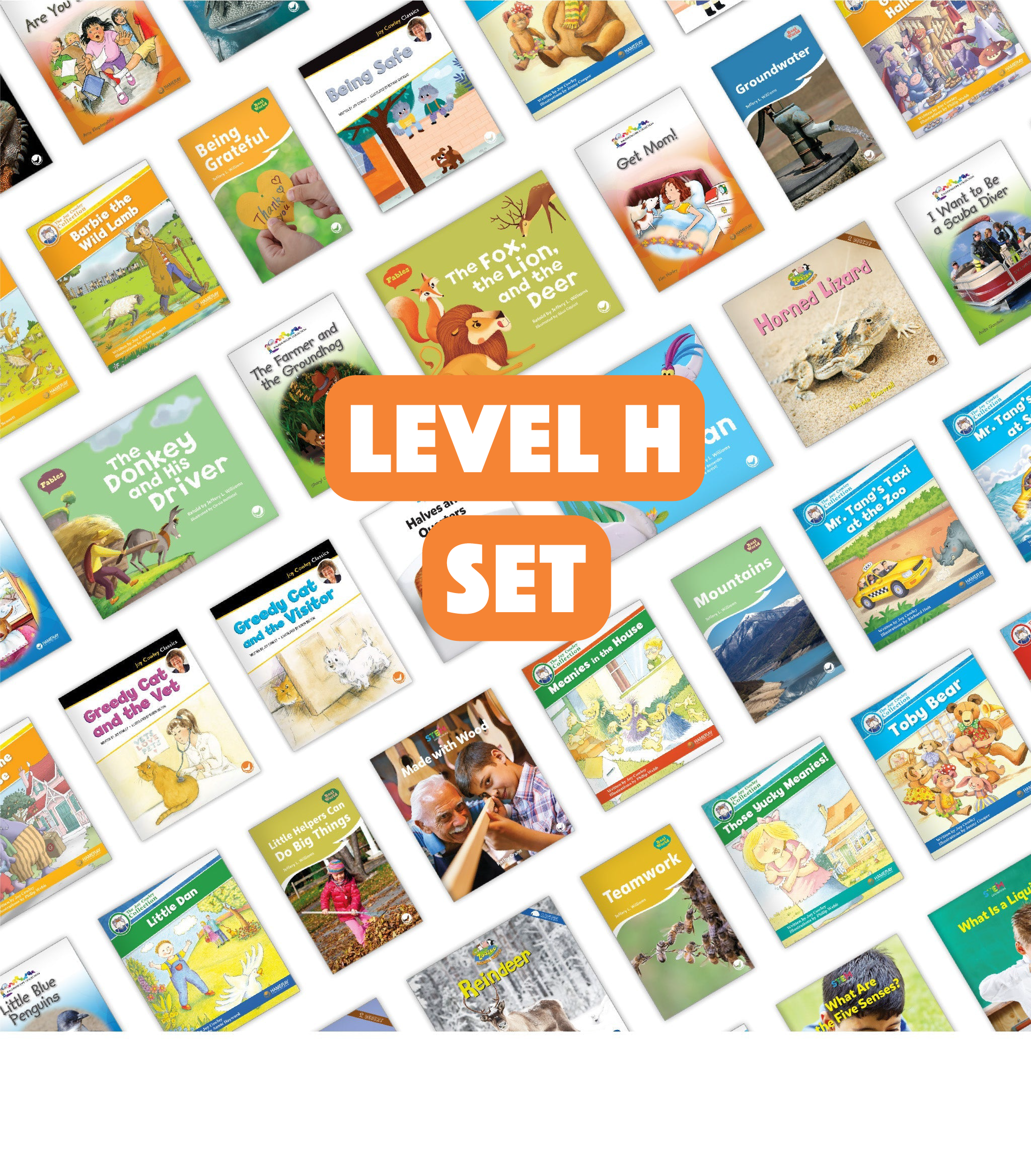 Level H Set