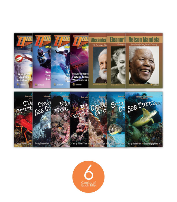 Level S Set (6-Packs)