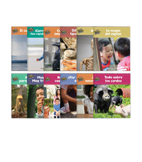 Mundo Real Complete Set