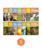 Mundo Real (Fábulas) Set 1 (6-Packs)