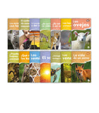 Mundo Real (Fábulas) Set 1