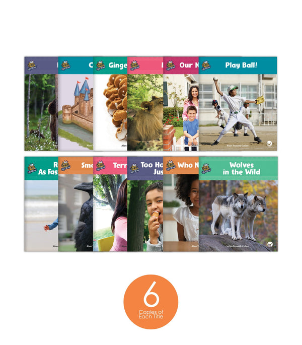 Real World Complete Set (6-Packs)