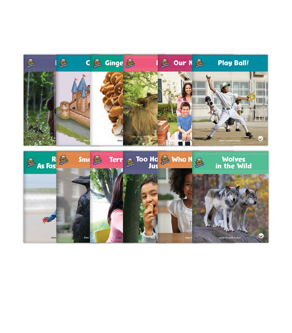 Real World Complete Set