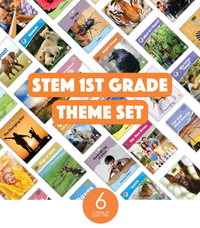 STEM 1st Grade Theme Set (6-Packs)