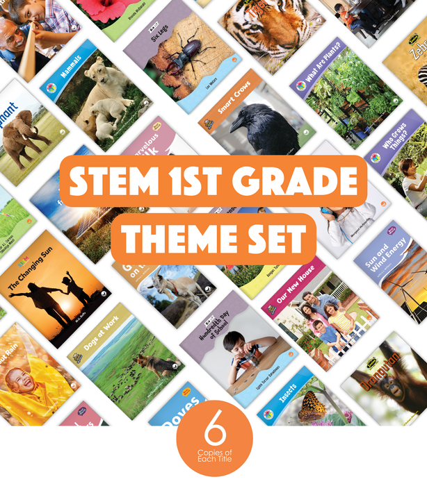 STEM 1st Grade Theme Set (6-Packs)