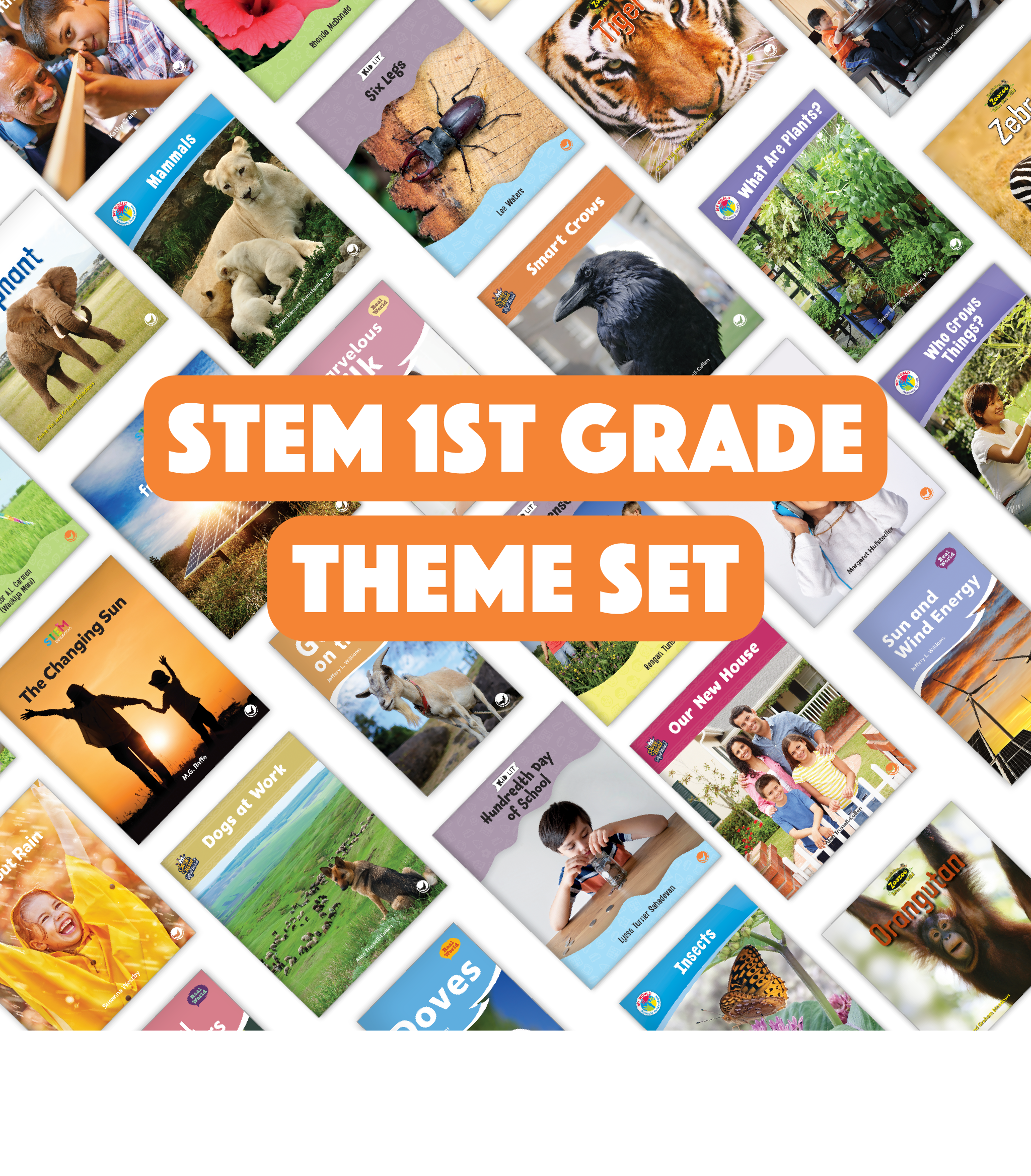 STEM 1st Grade Theme Set