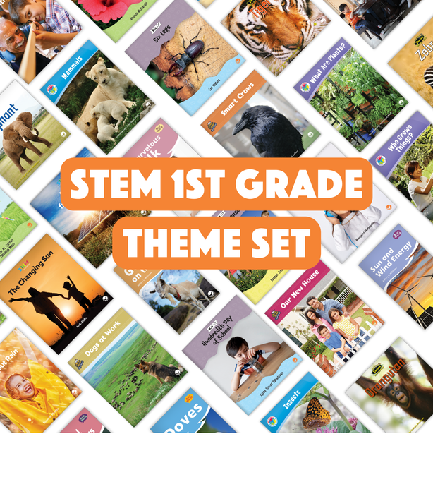 STEM 1st Grade Theme Set