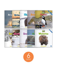 Zoozoo Animal World Arctic Sampler Set (6-Packs)