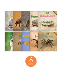 Zoozoo Animal World Desert Sampler Set (6-Packs)