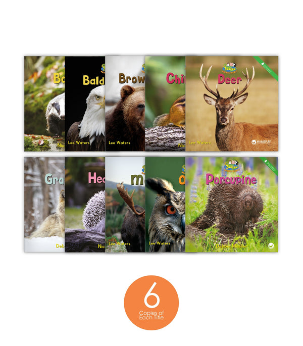 Zoozoo Animal World Forest Sampler Set (6-Packs)