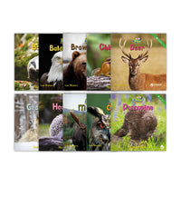 Zoozoo Animal World Forest Sampler Set