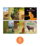 Zoozoo Animal World Grasslands Sampler Set (6-Packs)