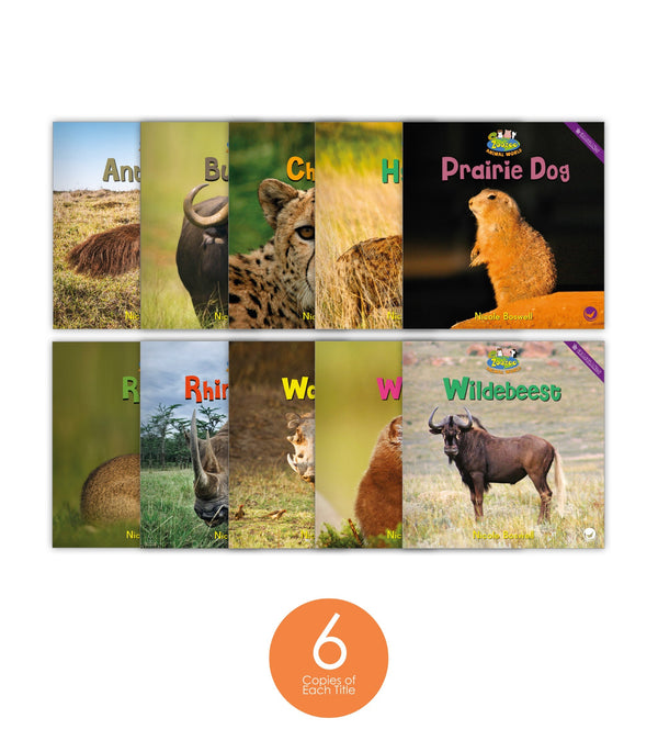 Zoozoo Animal World Grasslands Sampler Set (6-Packs)