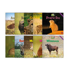 Zoozoo Animal World Grasslands Sampler Set