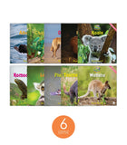 Zoozoo Animal World Island Sampler Set (6-Packs)