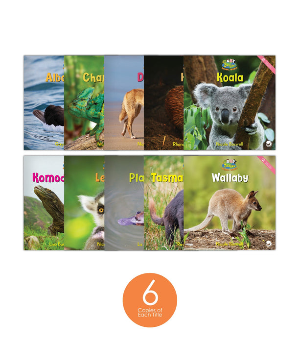 Zoozoo Animal World Island Sampler Set (6-Packs)