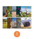 Zoozoo Animal World Mountain Sampler Set (6-Packs)