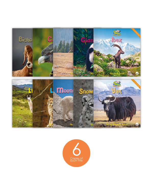 Zoozoo Animal World Mountain Sampler Set (6-Packs)