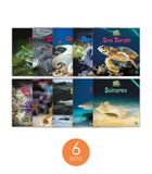 Zoozoo Animal World Ocean Sampler Set (6-Packs)