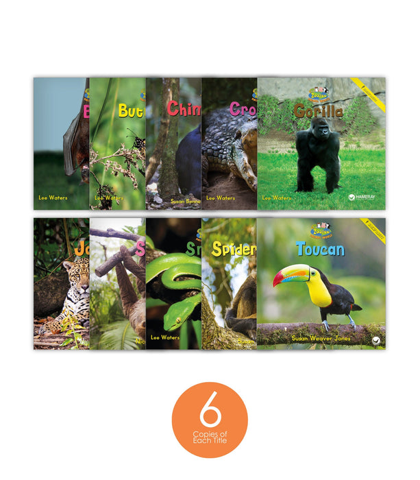 Zoozoo Animal World Rainforest Sampler Set (6-Packs)