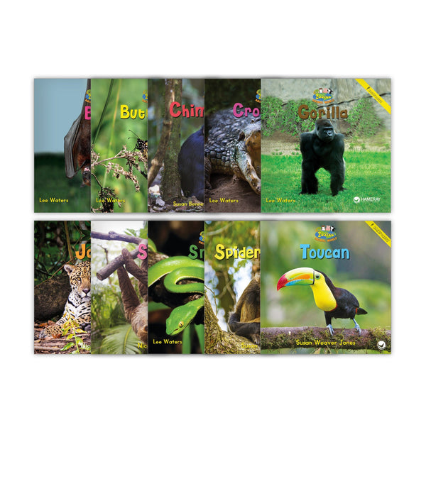 Zoozoo Animal World Rainforest Sampler Set