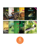 Zoozoo Animal World River Sampler Set (6-Packs)