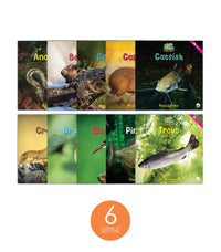 Zoozoo Animal World River Sampler Set (6-Packs)