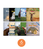 Zoozoo Animal World Set 1 (6-Packs)