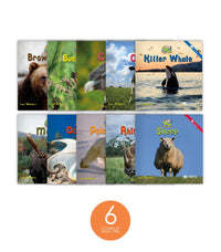 Zoozoo Animal World Set 1 and 2 (6-Packs)