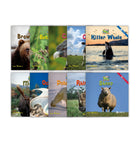 Zoozoo Animal World Set 1 and 2