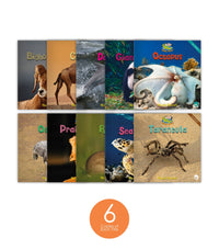 Zoozoo Animal World Set 2 (6-Packs)