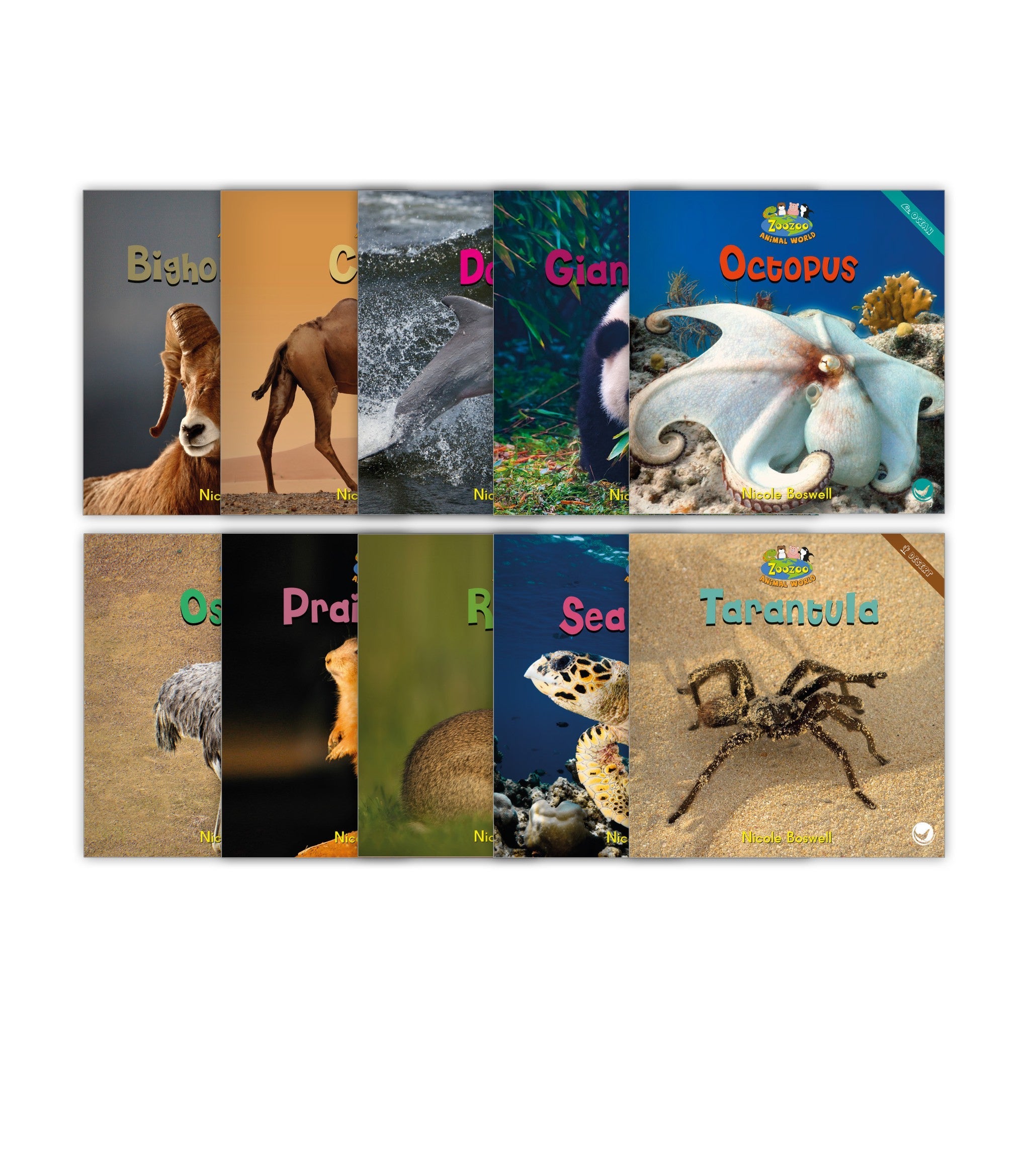 Zoozoo Animal World Set 2