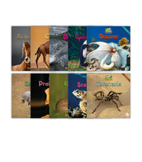 Zoozoo Animal World Set 2