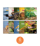 Zoozoo Animal World Set 4 (6-Packs)