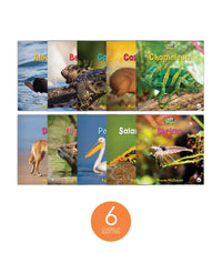 Zoozoo Animal World Set 4 (6-Packs)