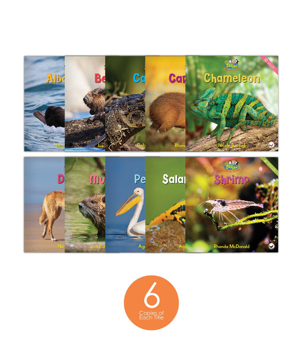 Zoozoo Animal World Set 4 (6-Packs)